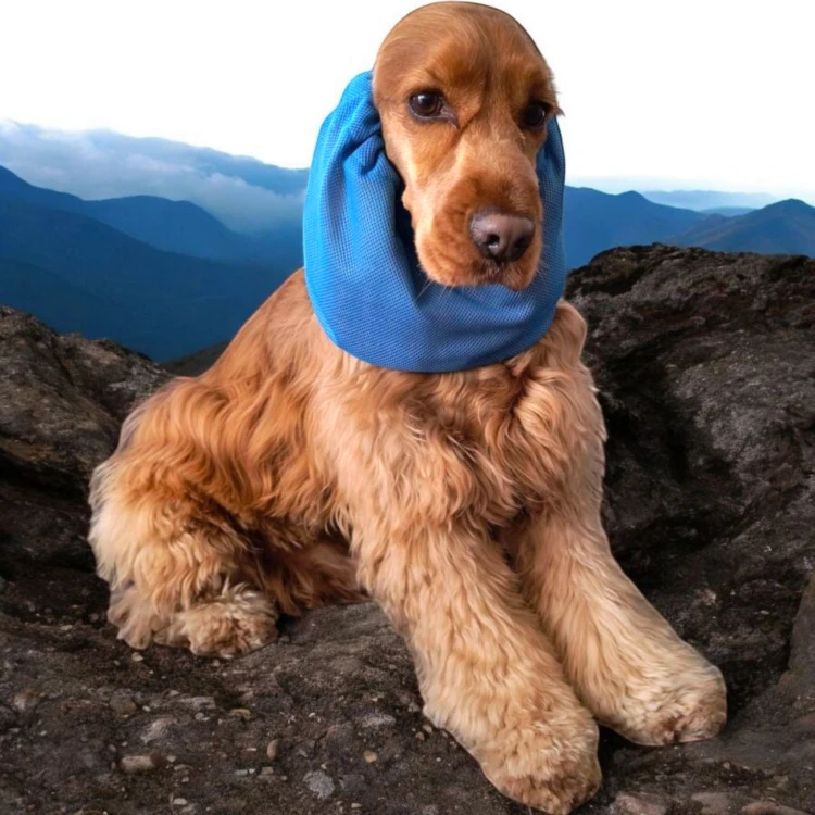 1000013954.png