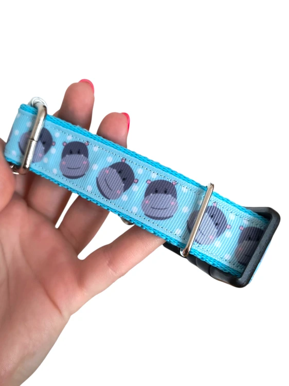 1000009674.png