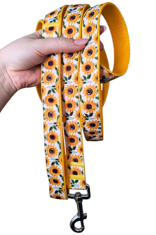 1000013849.png