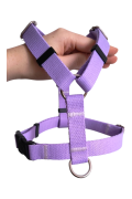 6cde1967-6a72-4306-bf1c-b2bf415cf385-1_all_1385.png